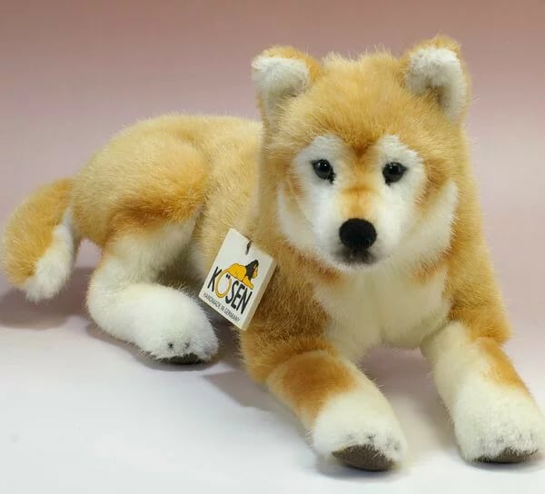 Shiba by yasusada1337341